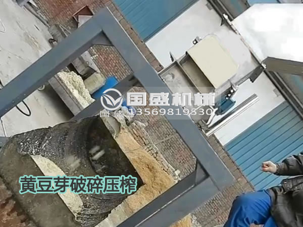 红豆视频大全免费观看黄豆芽固液分离机