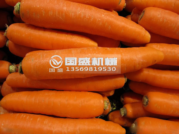 红豆视频大全免费观看胡萝卜脱水挤压机 红豆视频大全免费观看胡萝卜脱水挤压机