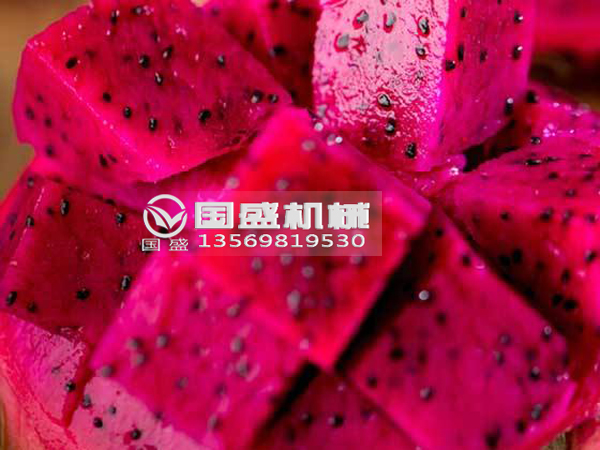 红豆视频大全免费观看火龙果挤压脱水设备
