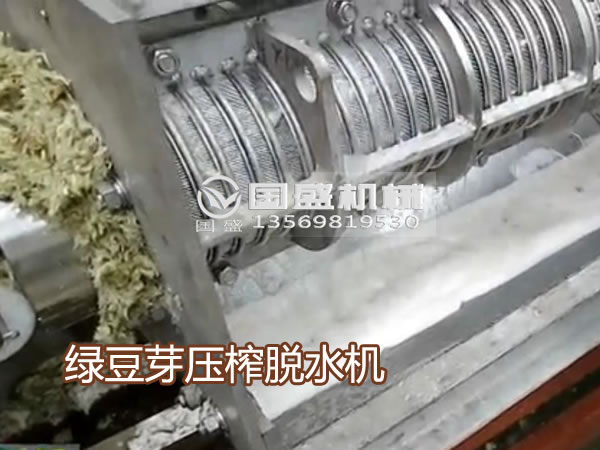 红豆视频大全免费观看绿豆芽压榨机